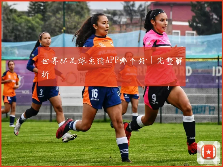 世界杯足球竞猜APP哪个好｜完整解析
